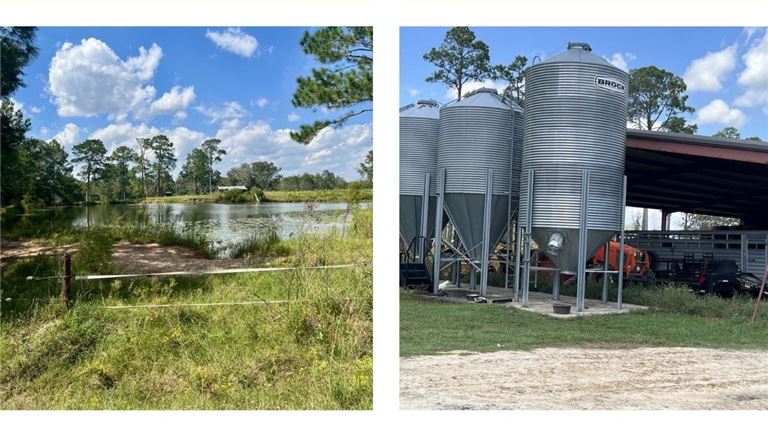 Profitable Grass-Fed Livestock Farm for Sale in Crisp County, GA