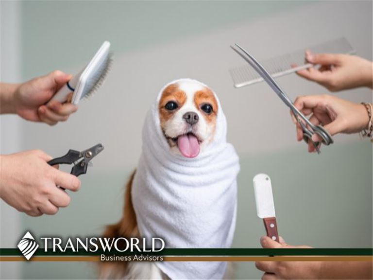 Unleash Your Success: Established Pet Grooming Business for Sale!