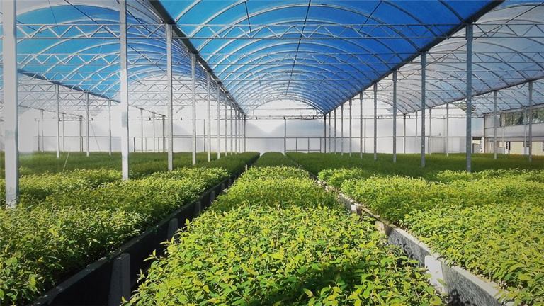 Fully Entitled And Licensed Cannabis Cultivation And Manufacturing