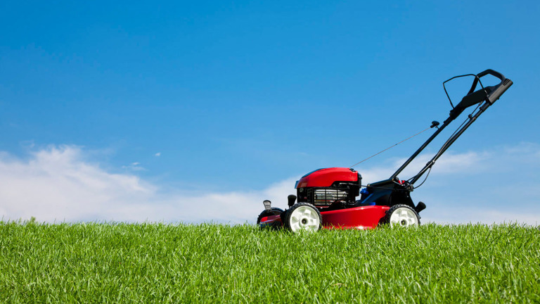 Established Lawn Care Business in Houston, TX - $225K - Proven Growth Potential