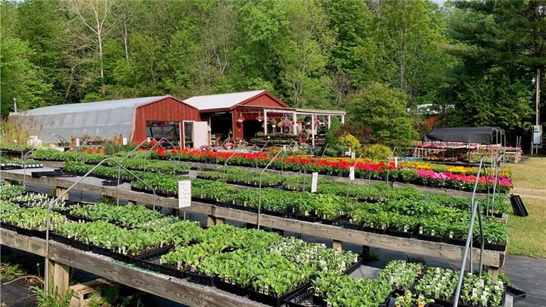 Plants & Stuff Garden Center