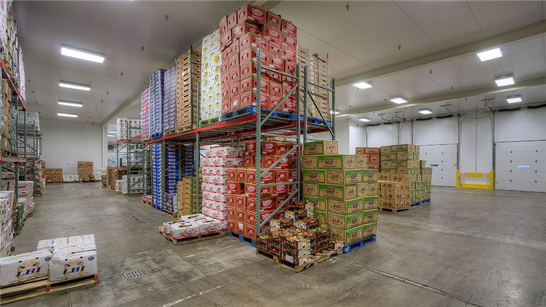 High Volume Produce Distributor