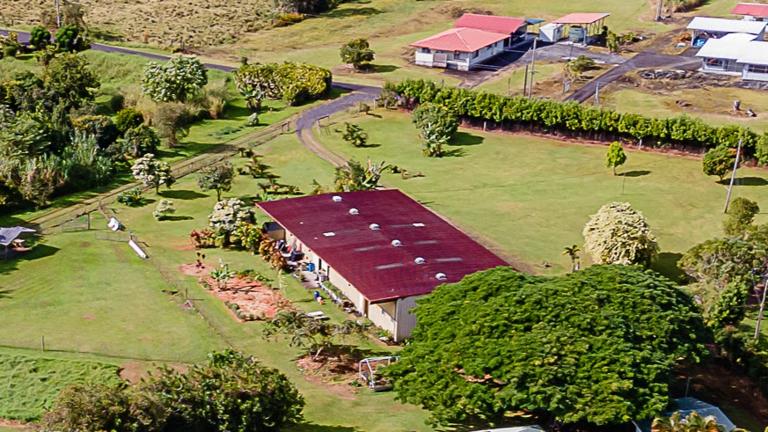 Aerial shot of Ola Tropical Apothecary’s warehouse set amid lush lawns—your turnkey production hub in Hilo