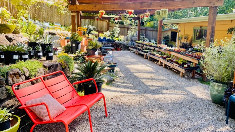 Successful turn-key retail nursery with land in Oakland Hills