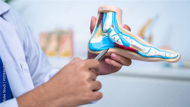 Established Orthopedic Practice in The Villages, FL - $799K - Proven Profitability Since 1994