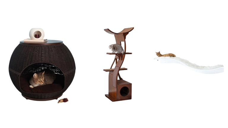 Online Pet Furniture Store 3k Profit Projections