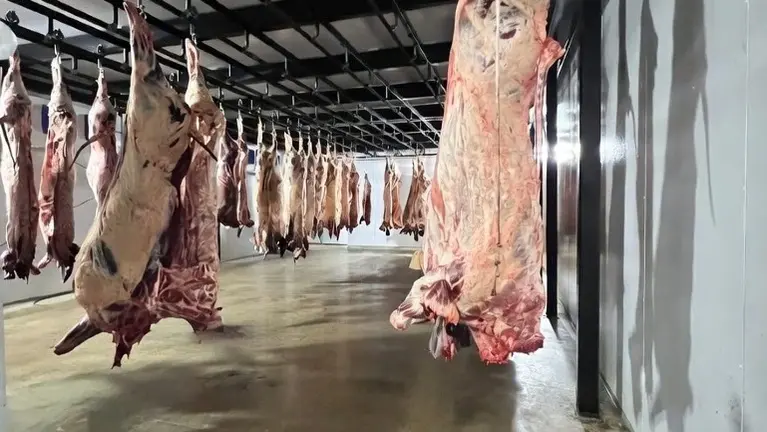 Custom Meat & Processing Business