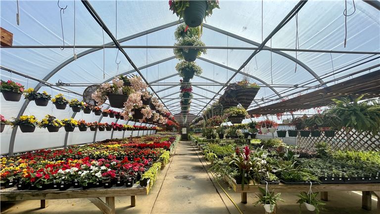 A Greenhouse with Endless Possibilities