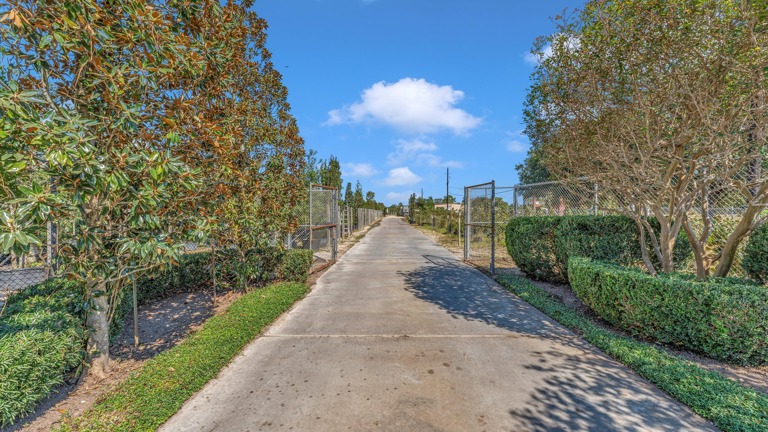 4-Acre Highway-Adjacent Tree Farm in Waller, TX - $1.15M - Prime Location & Growth Potential