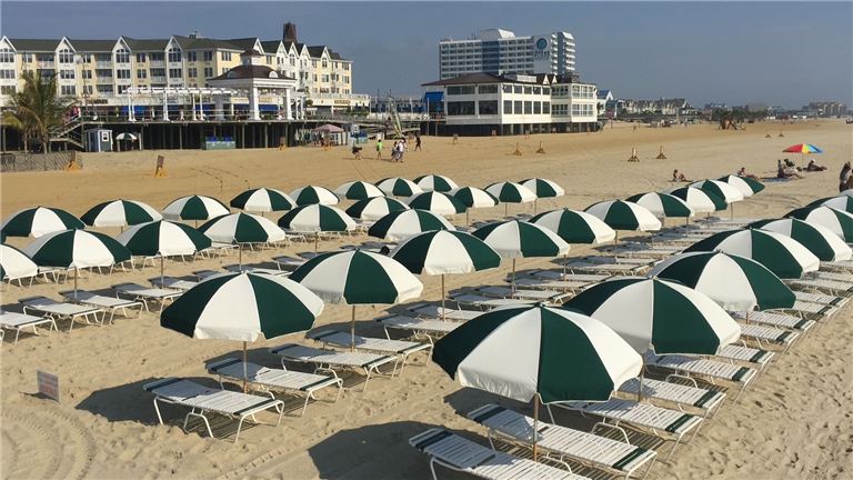 Own your own Thriving Summer Business!!