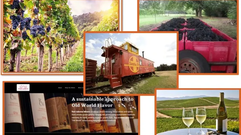 Winery / Vineyard / Distillery / Event Center / RV - Award Winning!