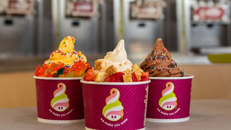 2 Locations-High End Franchise Frozen Yogurt stores