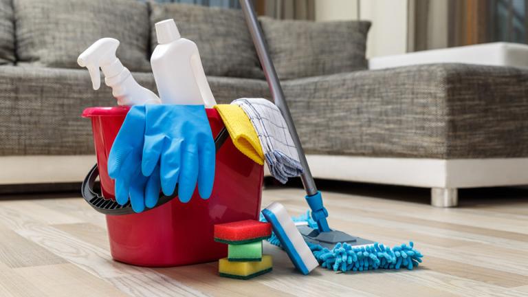 Scalable Residential Cleaning Company Recurring Revenue Growing Area