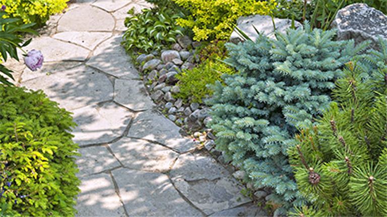 Landscaping and General Home Maintenance Service