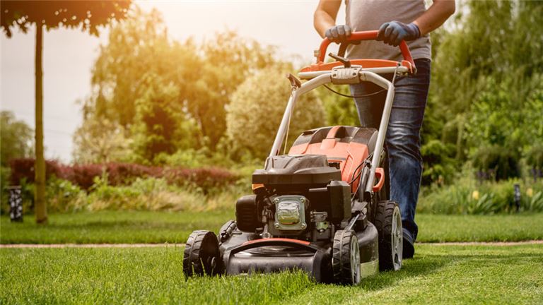 Turnkey Landscaping and Hardscaping Business in MA