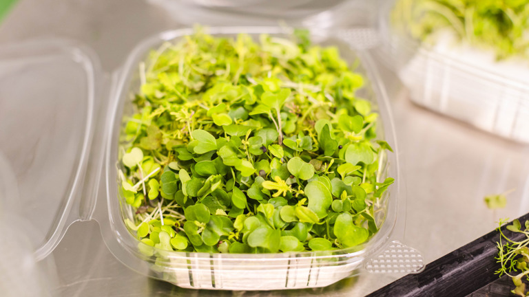 Longstanding & Profitable Microgreens Business - Bend Oregon
