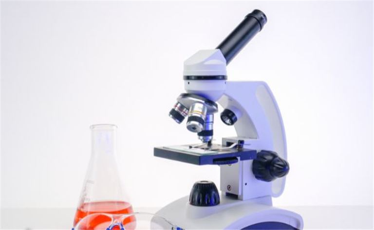 Educational On Line Retail Laboratory Supplies
