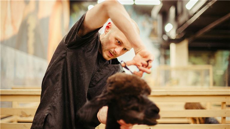 Retail Pet & Grooming