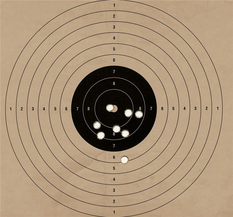 Firearms Simulation Training Range Business