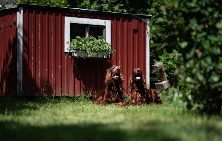 Profitable Pet Waste Management Business in Booming Community.