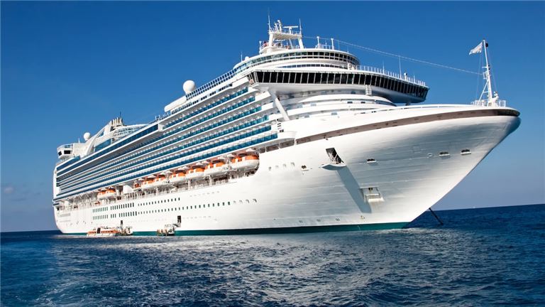 Premium Cruise Travel Website for Sale!