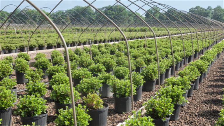 Profitable B2B Nursery & Landscape (Strong Cashflow) RE Included!