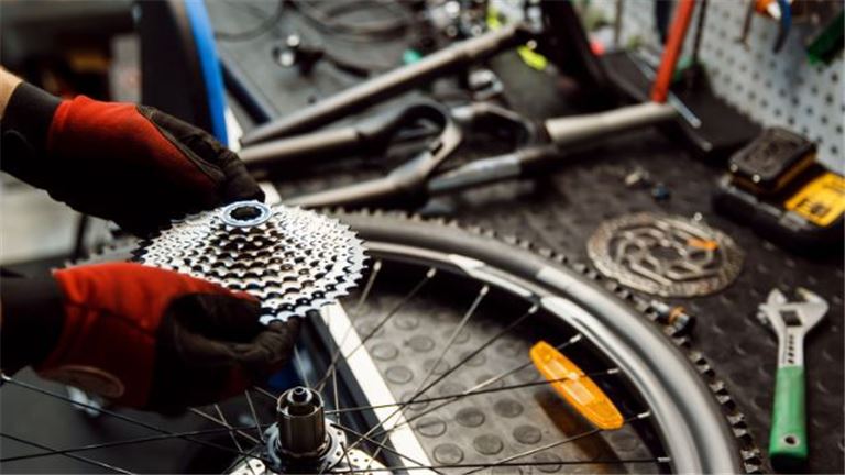 For Sale: Thriving Beachside Bicycle Store – A Rare Opportunity!