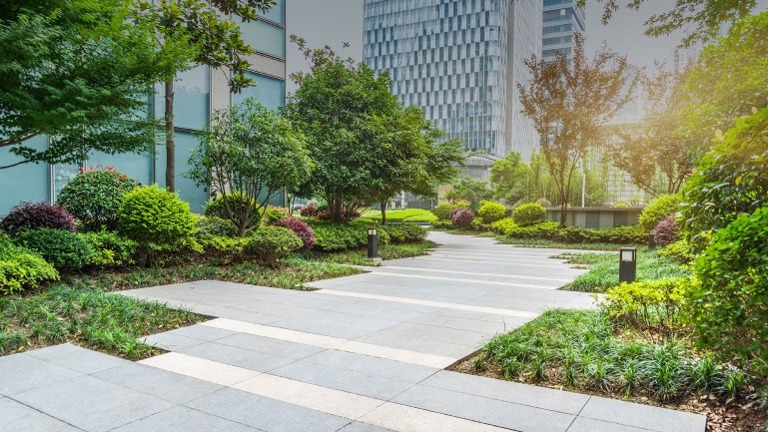 Established Commercial Landscape Business 