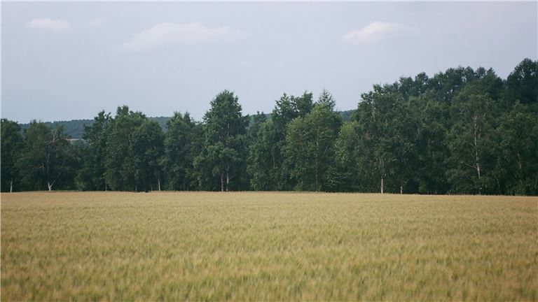 Land, Land, Land with a small tasting room and house attached!