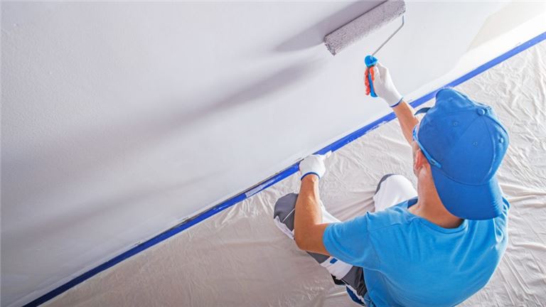 Established Painting Business in the Northern Nashville area!