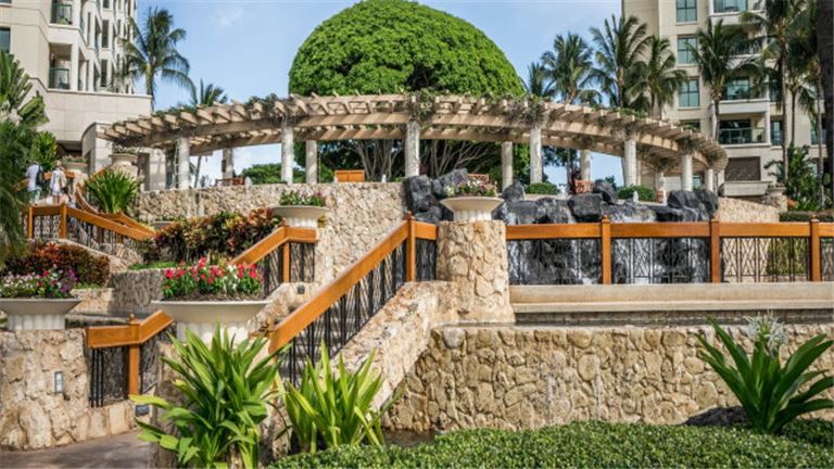 Landscaping, Tree Trimming, Plants and Maintenance