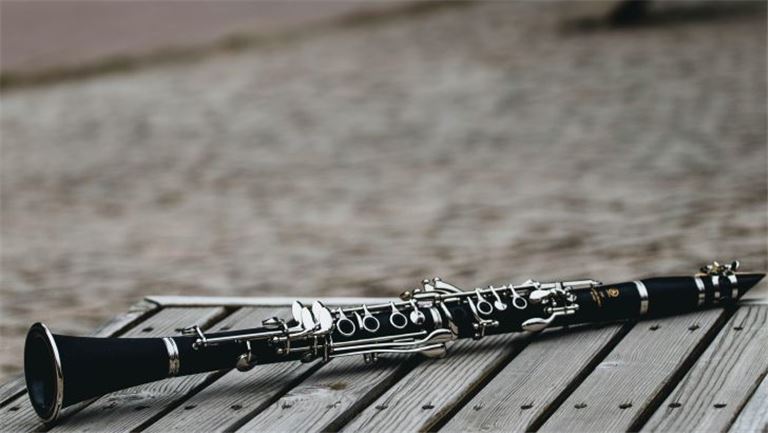 Niche Music Service Company - Generous Seller Financing