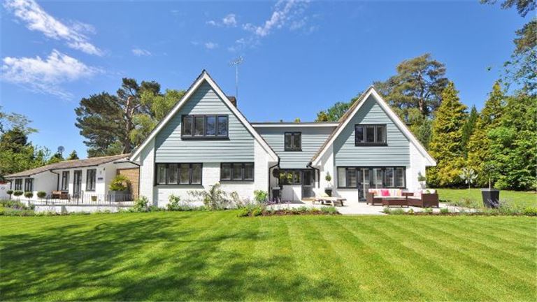 Thriving and Highly Profitable Landscaping Business for Sale