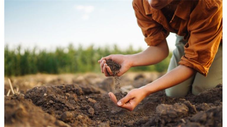 Patented Breakthrough in Organic Material Processing