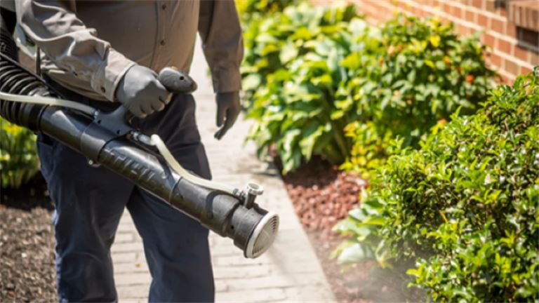 Pro-Tec Pest Management Highlights Pest Control Services for Homes and ...