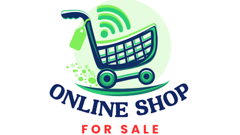 Profitable Shopify Store