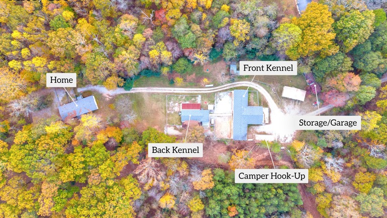 Mountain Pet Resort and Spa