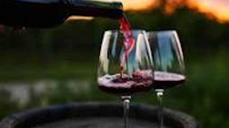 Northeast Ohio Winery For Sale.