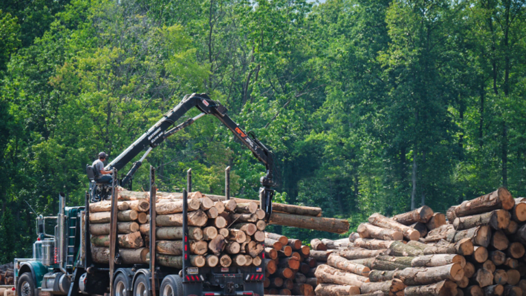 Michigan Sawmill, Logging and Forestry Business