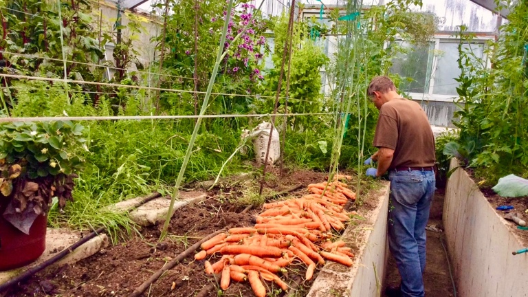 Greenhouse space included on the property — ideal for food sustainability, guest experiences, or expanding into agri-tourism. Opportunity to build an eco-brand