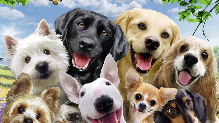 We love staying here!