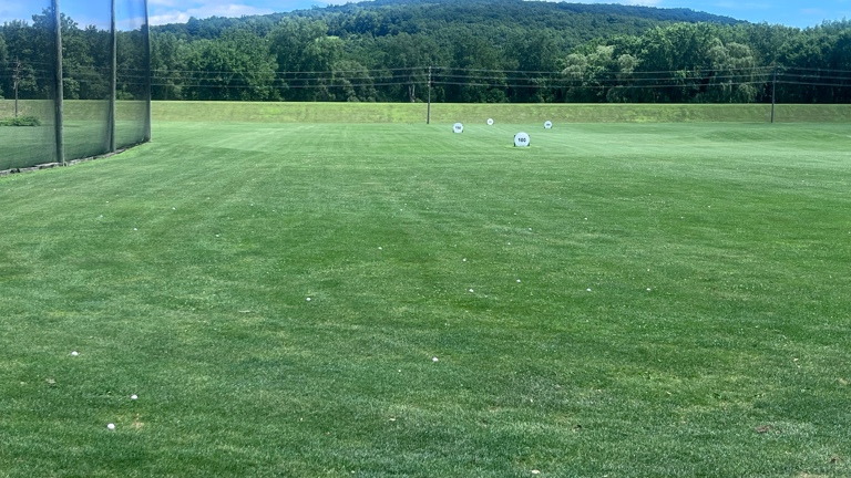 Portion of driving range area