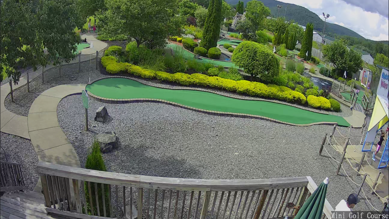 View from security camera 