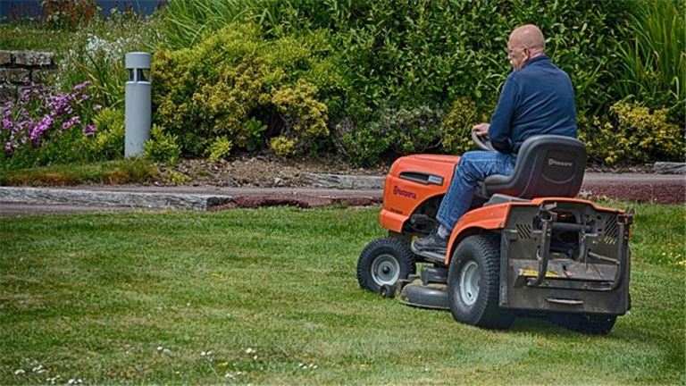 Lawn Maintenance/Landscaping /Tree Trimming