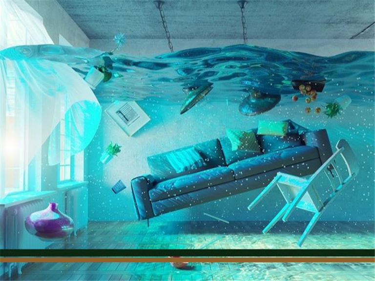 Owner Absentee Restoration Company For Sale - Northern CO