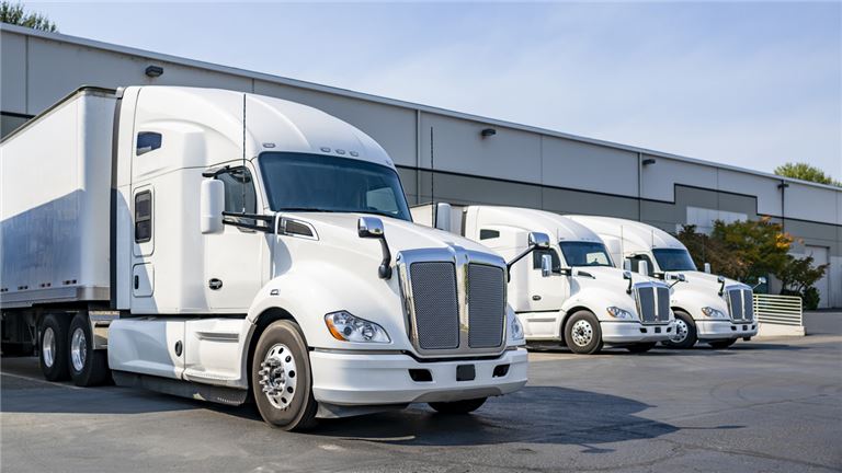 Established Specialized Freight Business w/ Growing Revenues