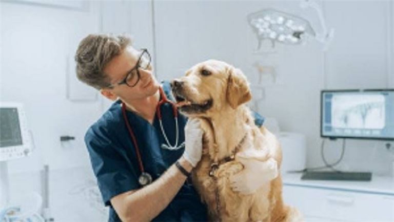 Own a Thriving Veterinary Biz: Owner Retiring