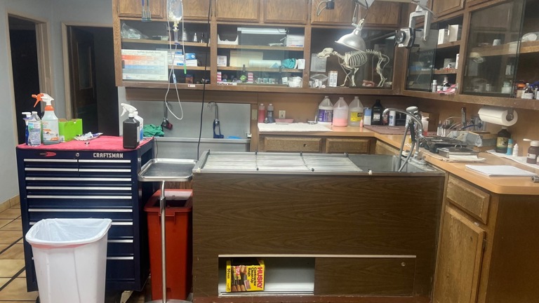 Treatment/ Wet Table