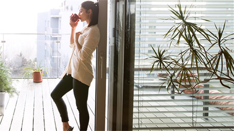 Established Budget Blinds Franchise in Troy and Sterling Heights MI