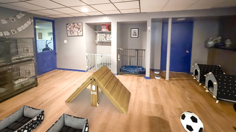 In-Home Dog Boarding Business - Turn Key